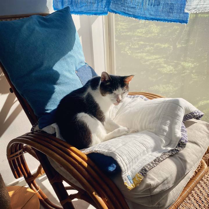 A722d761 4224 4edb bfdf 124a93524914 1629415431439