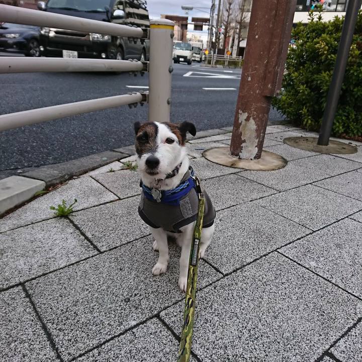 A722d907 8d48 49e6 a7d0 434838b30e62 1520632372009