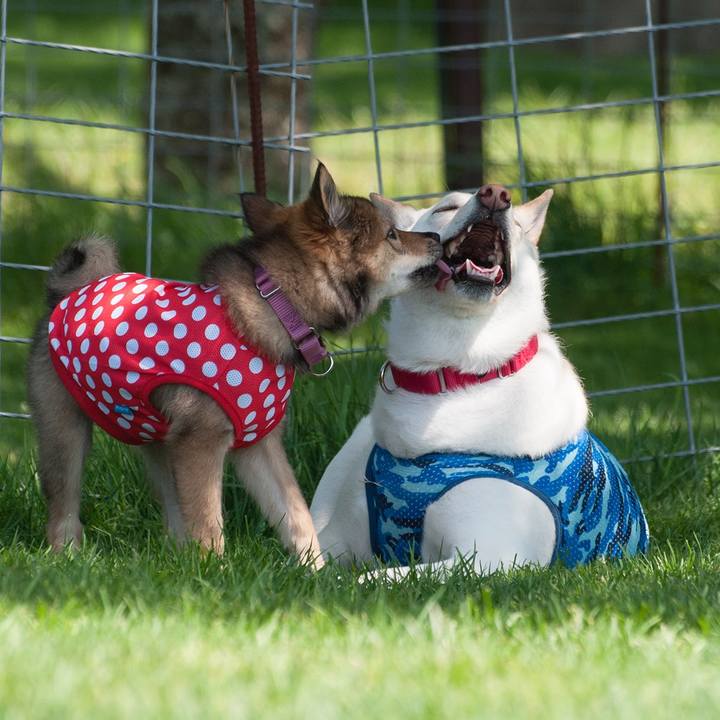 A7230b67 ec54 4391 a620 0f5c197ca709 1525047319550