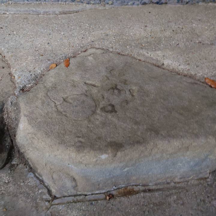 A7235bb6 c291 4605 a9c7 fa6e0da110e5 1760941515534