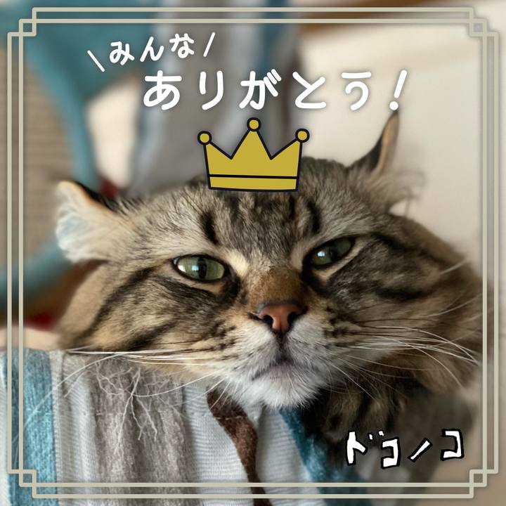 A723664c 6936 4398 909d 67eaad752d93 1623070444989