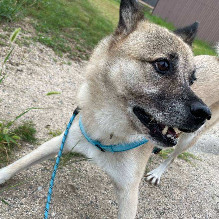 A72366ee 4570 4b93 9bb7 32593a76c4ce 1727442178188