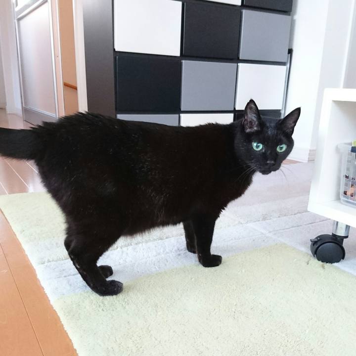 A7239c8a 0ae8 499f a94e ee1ebf879847 1514676580459