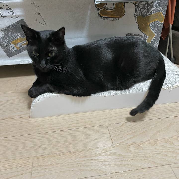 A723e791 6024 4fd7 aae7 e01795012545 1680778824411