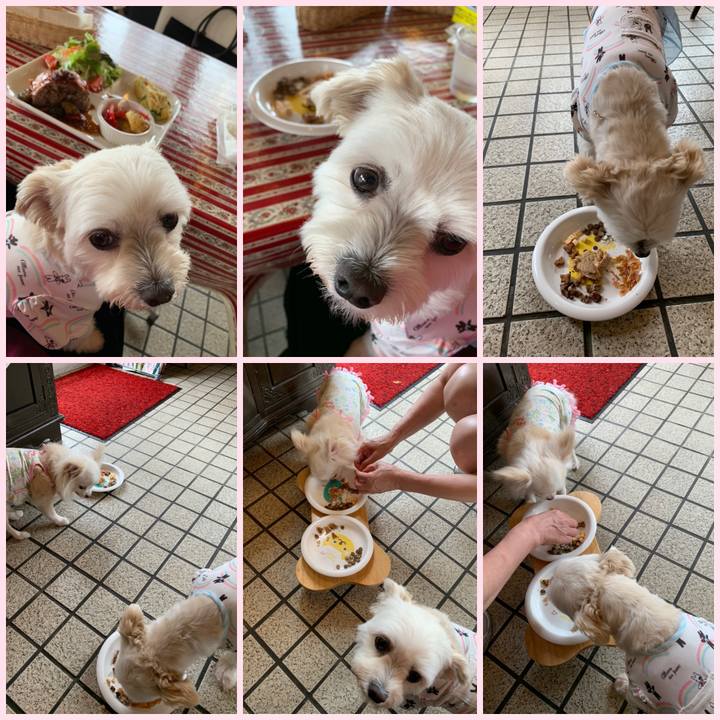 A7249c93 0db7 4e84 99a9 e9ff02bd9b92 1593260893964