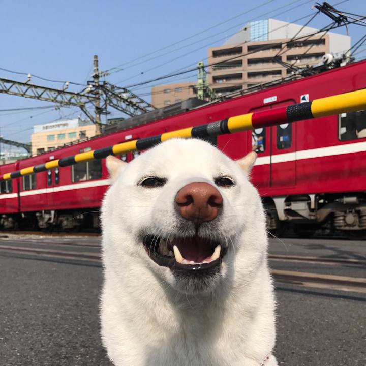 A724afb8 6ac3 4fd6 9ec1 6ea43bd1f4ef 1522629099952