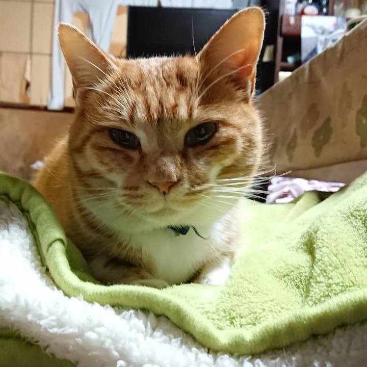 A724b8b8 2f55 4086 9b08 c77bf28afac4 1608149642242