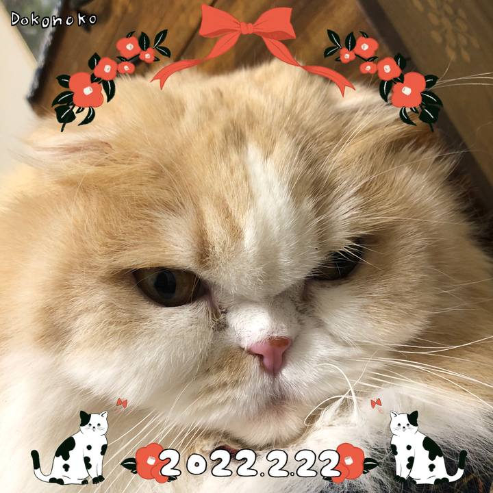 A724be00 a6b2 48fe 9d83 a22ed1c0fc24 1645524728207