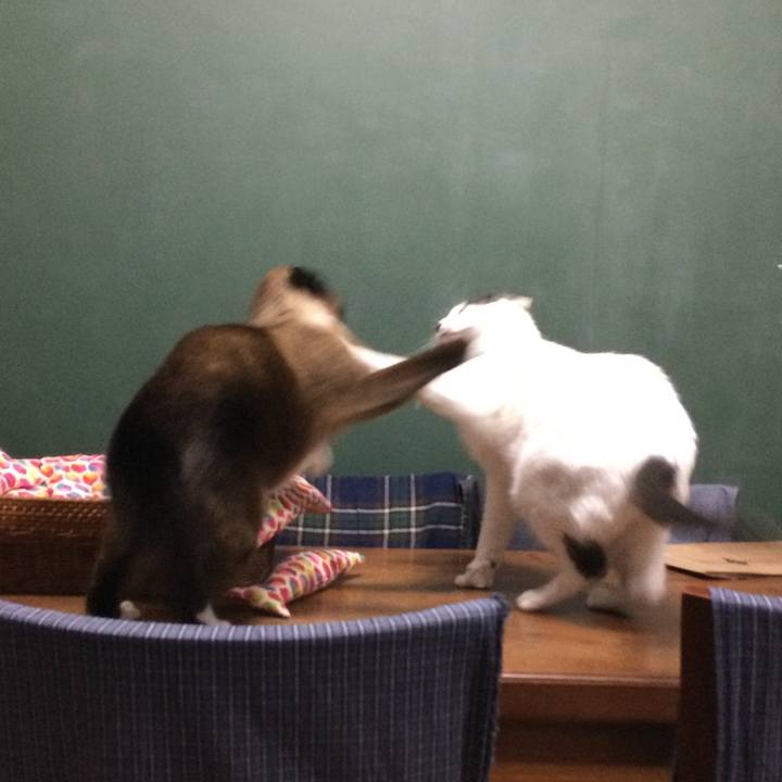 A724f673 64c9 4177 97a0 8d40813f73ad 1549312130572