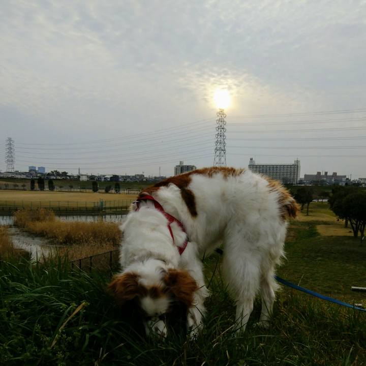 A725250f c704 4a73 b65c fd8328426c02 1551516989087