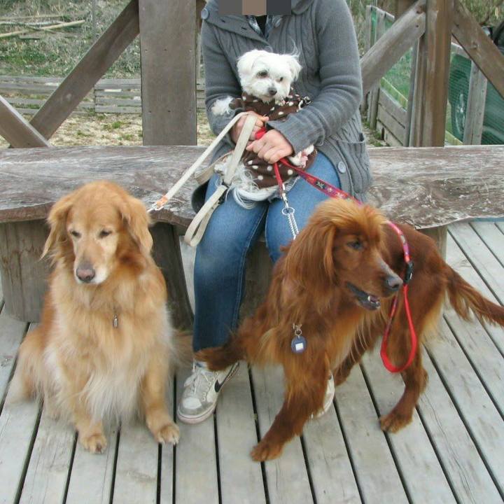 A72556c0 0ff5 413f b9e1 00df3b6fe3bc 1583904049812