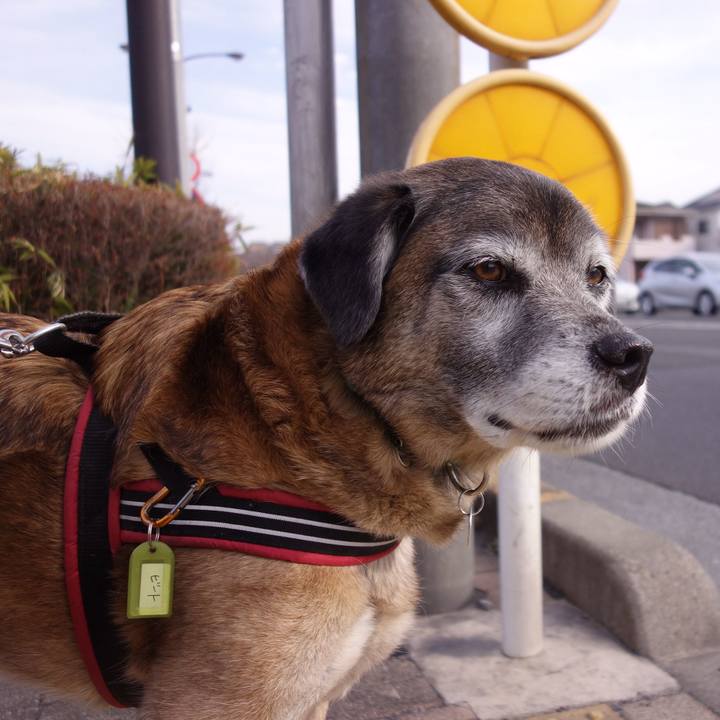 A7256fd9 75d9 41bf 982e 734f7d126a52 1550881827668