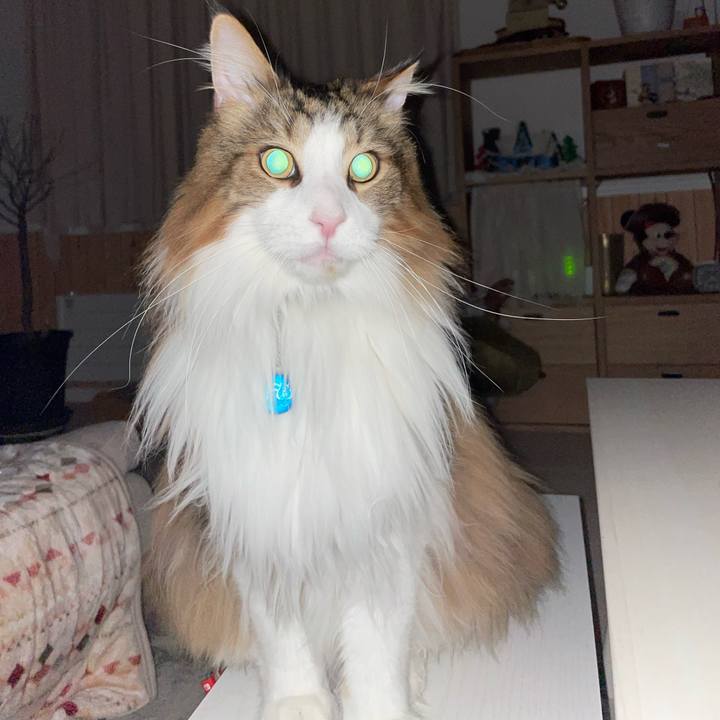 A7257df9 7237 4c98 9a68 15e621885f76 1711654002778