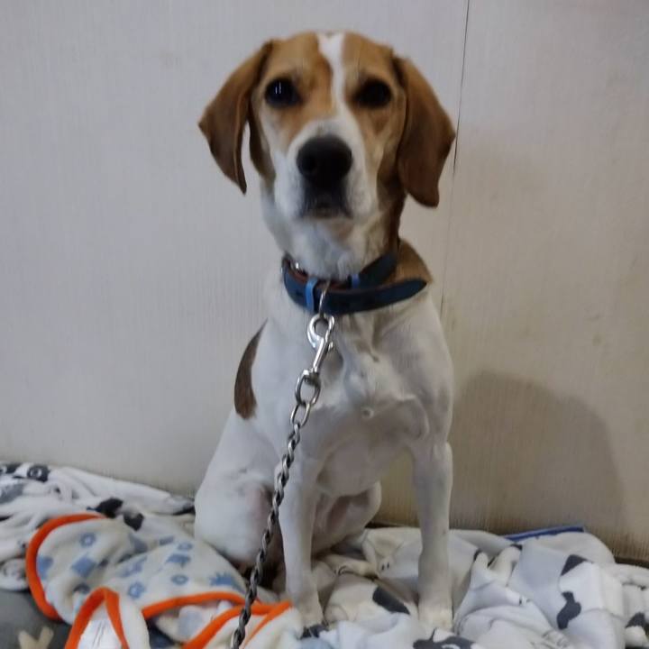 A7259585 92c6 4518 b3c8 4c81b900322c 1609407311013