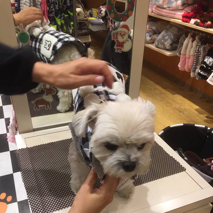 A725eb47 ede1 4018 887d ff41ae7c7515 1512474909135