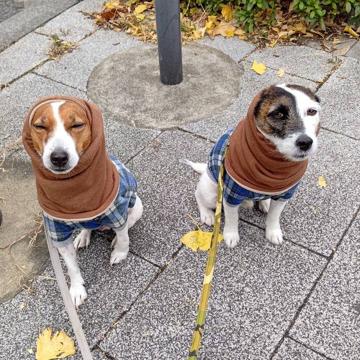 A725f7c2 3cfe 4467 8330 3cdef7619591 1671236659972