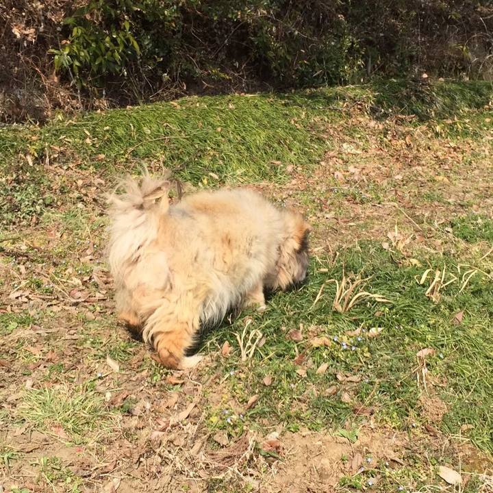 A7263863 7d41 440f a099 ed26a039be24 1606416643181