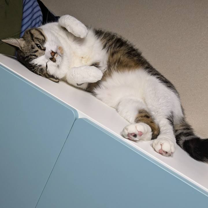 A7265b57 35ef 4e11 a0b1 b4a47b2fec99 1731145161512