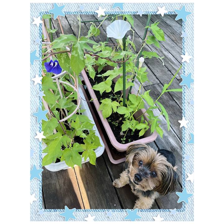 A726c855 1a28 45df 9b9b a497c0aaf6bb 1720476864487