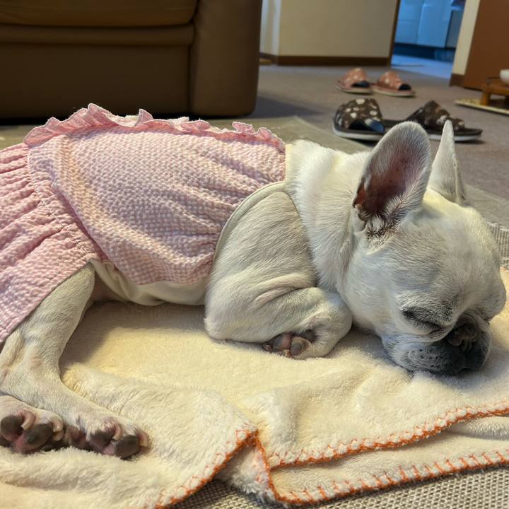 A726f5c6 ea39 4270 880e 99d64d7650c8 1747455719429