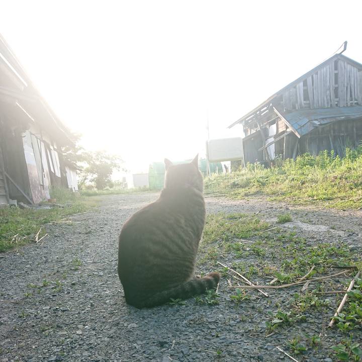 A7274d1e 56c2 4f42 821f 7227290e2112 1653859210670