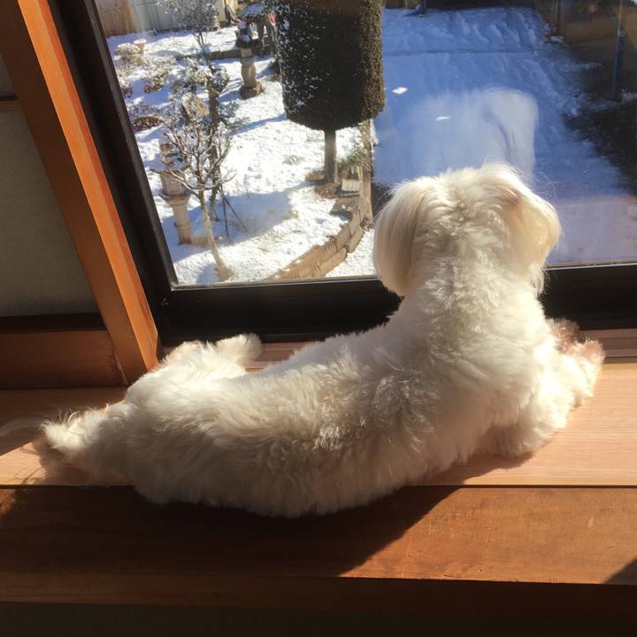 A7275cd7 73df 474d be8f ae3e2b444acf 1517272799516