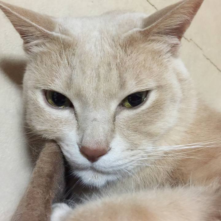 A7278b73 2129 4d86 90b7 36aac12923af 1584964596352