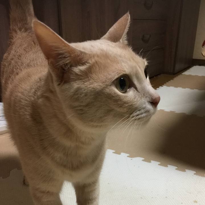 A72790cc 3472 48e2 8dfc 0c14fe057aed 1569065710044