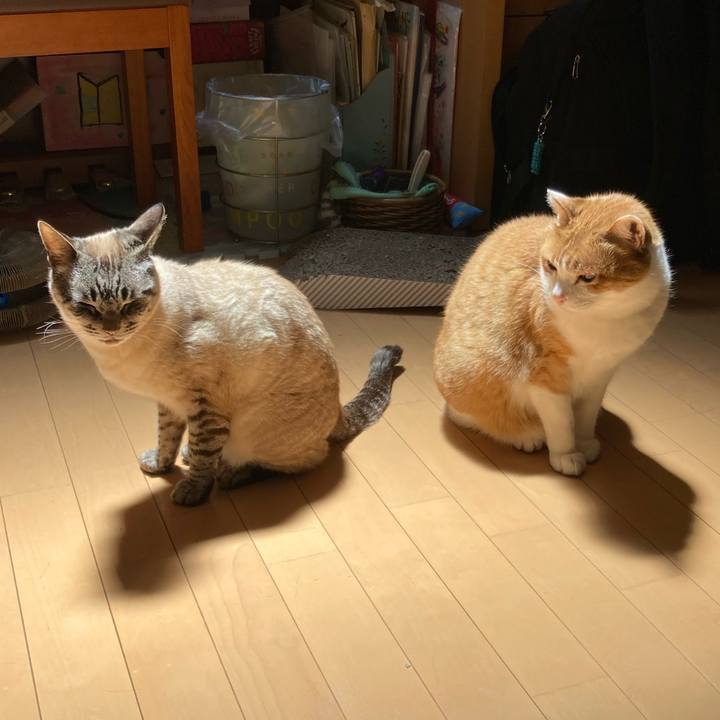 A727c3dd 5d7a 4119 b7d8 74a13a4f5894 1753344526390