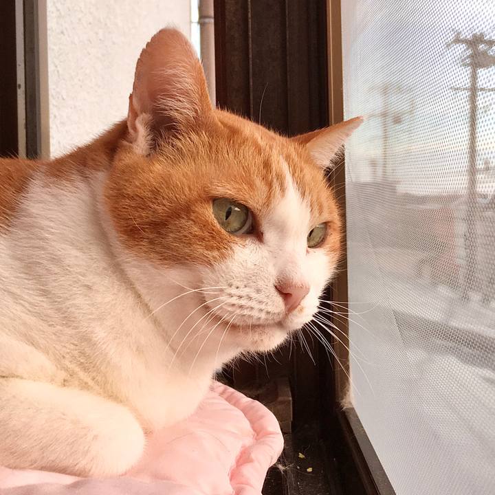 A727c500 3368 4601 a74a f84bed0310b2 1572921859040