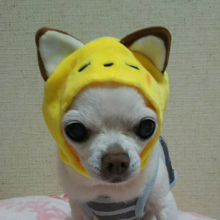 A727cd26 26f8 4aba ae64 860ae5b20f35 1536877384298