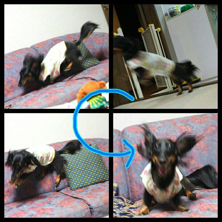 A727ddb4 2a51 4438 82a6 963601e45da2 1507854438058