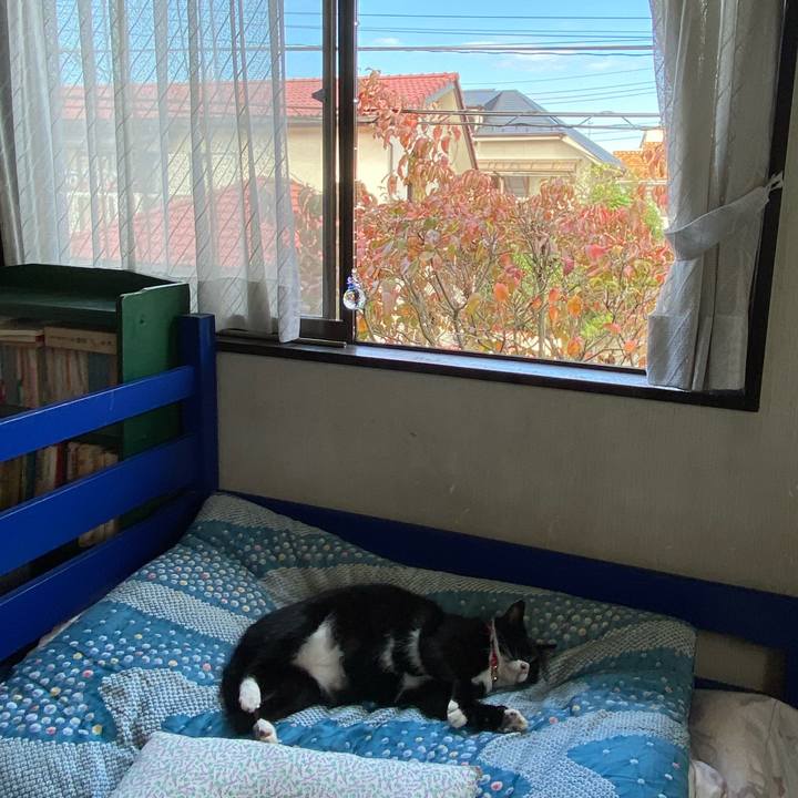 A7280087 bf9f 4446 981f a42b6036bdce 1602577455711