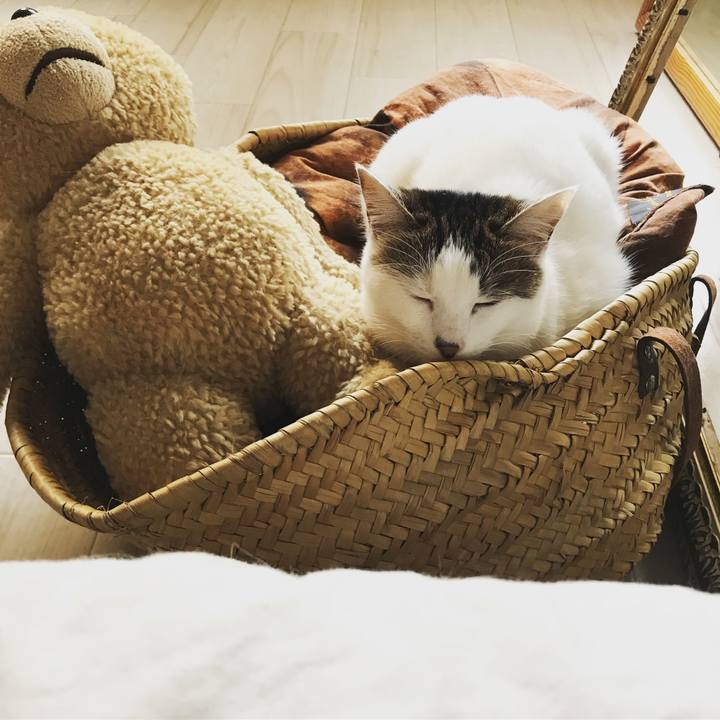 A7280156 8908 439e bd90 66d5bd71d8c9 1516071939370