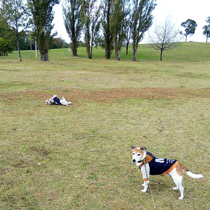 A7284e6d 122a 486a 992e b997ddd5f3d9 1540617145776