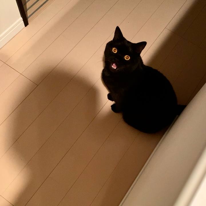 A7285a81 dedd 4df3 bda3 a5ea36872d82 1673357869963