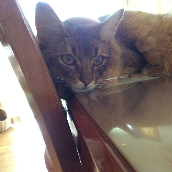 A7286374 fbcd 4c2d 9513 5ec8cf7f6016 1599528578572