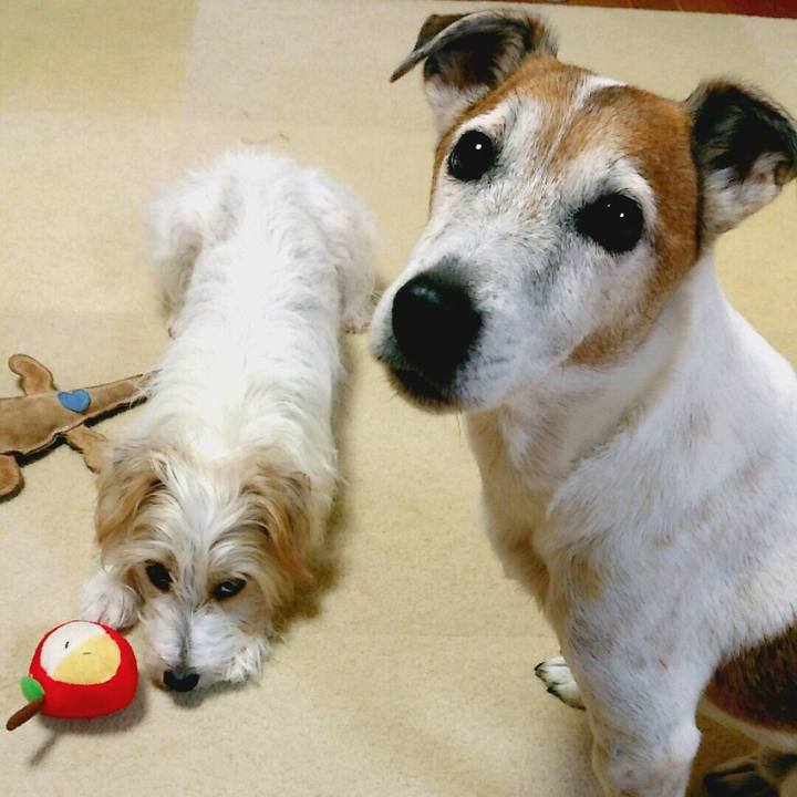 A7289675 3a0a 48ed bd53 5a68a8c7e404 1509281565405