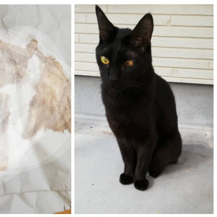 A728e756 37ff 4717 ba83 c482977ab9bd 1700707224850