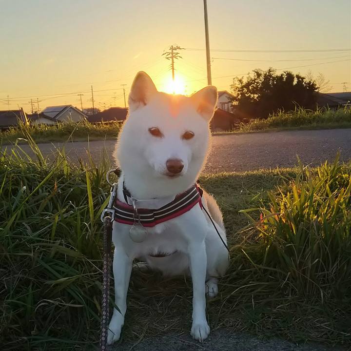 A72900ab de30 4b99 a20a 88be0a43ac84 1539508665413