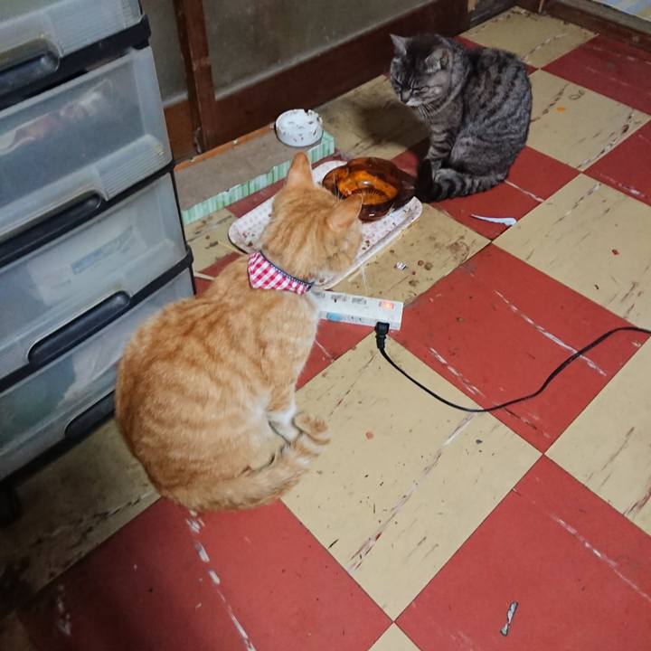 A7293c93 6019 438f 9c05 7cccb245cc3c 1558212260807