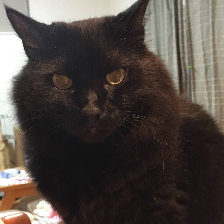 A7294c8d 7f92 4c7b a57b ddd22e48389c 1535110217765