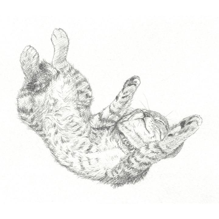 A72978f3 88ae 4f7e 92d9 32c2f713038d 1545917162927