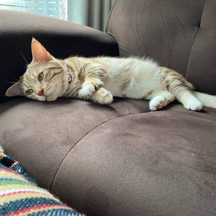 A7297d02 88bd 4163 a8e2 0e8080508399 1625270373955