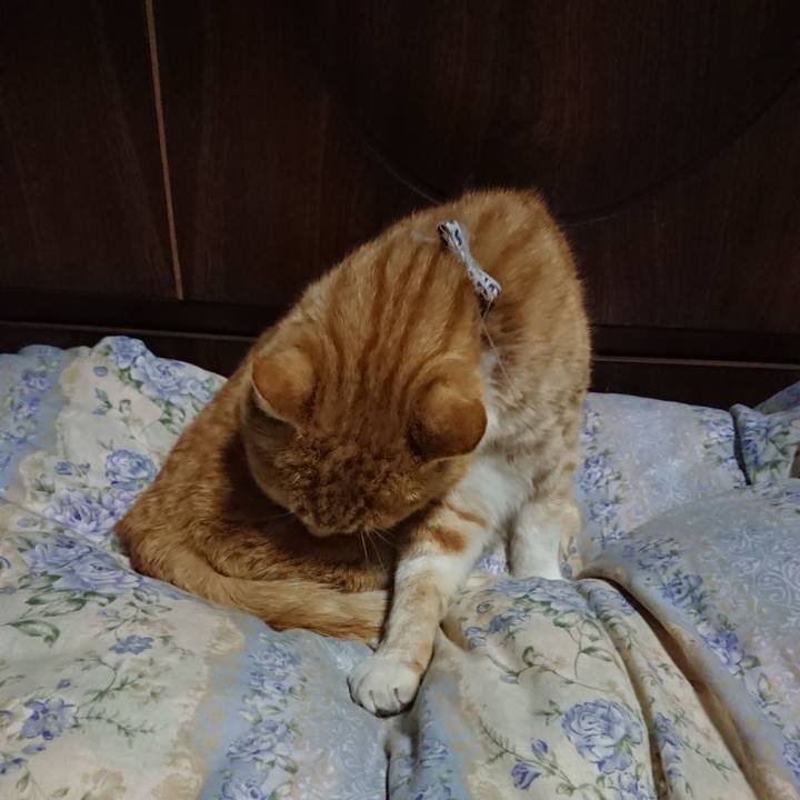 A7297ef9 5ba3 4217 bf8b 827c11ea77c9 1588072351685