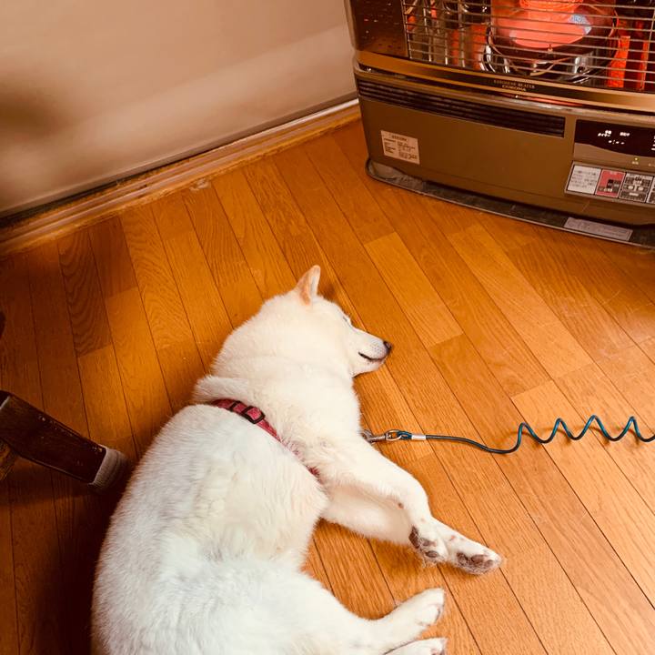 A7298718 55f7 4dd5 99d0 c1fe1c1df75a 1590533172277