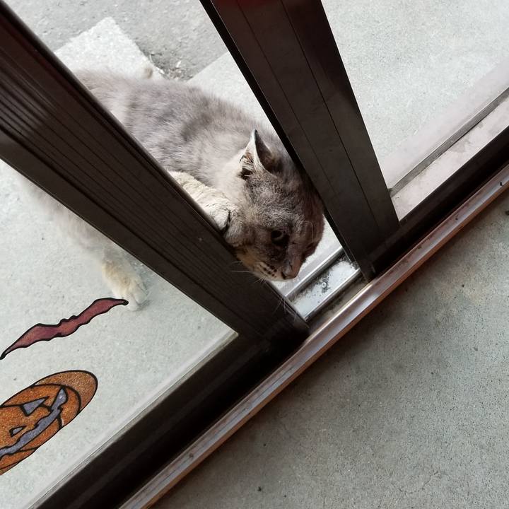 A729a1f8 c7e9 4b43 88ab bb2464528f75 1526722138478