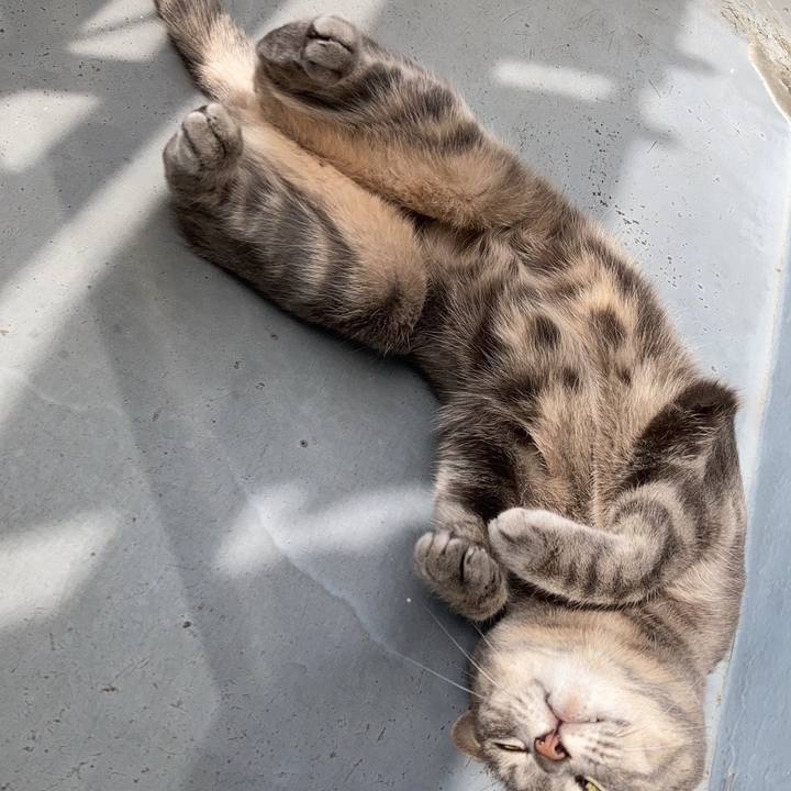 A729b0bd 49eb 4371 9ce4 472cf7f44f05 1681605664403