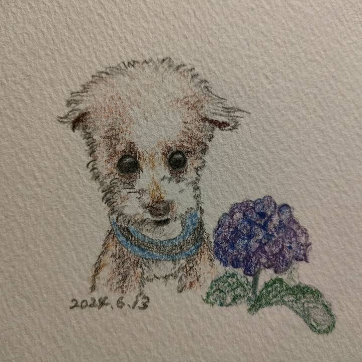 A729c3f5 714a 42be aa23 ec3b50ac0cb2 1718287166790