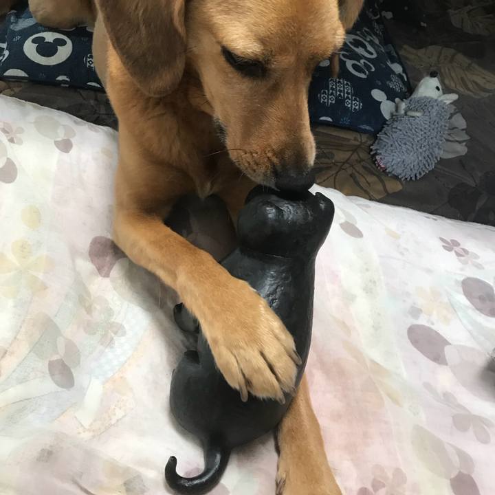 A72a347c 63bd 4bb1 a2dd fa8d2935287b 1528887945969